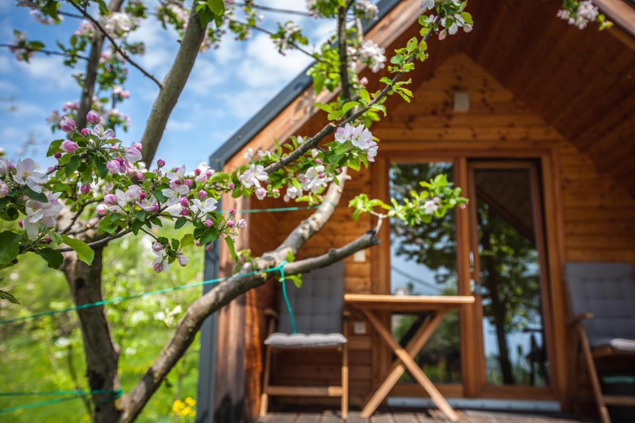 Отель Glamping Kranjc Кобарид Экстерьер фото